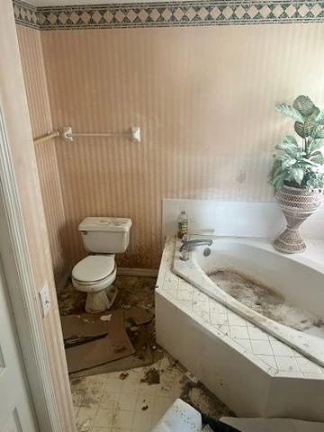 Primary bath before